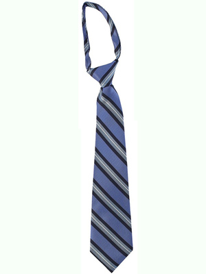 Blue striped pattern zipper tie